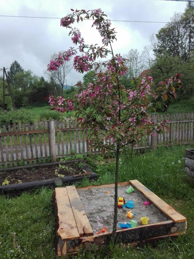 فيلا Pod Bieszczadem Jasliska المظهر الخارجي الصورة